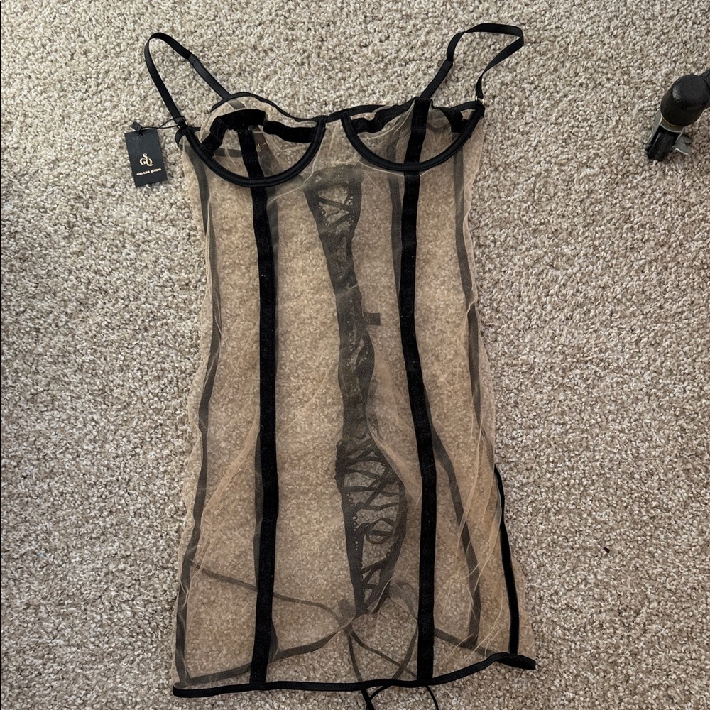 God Save Queens Black and Tan Sheer Dress